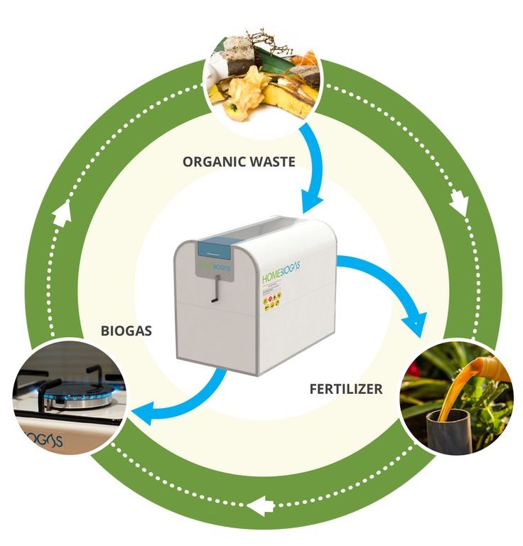 biomass conversion: turning waste into energy