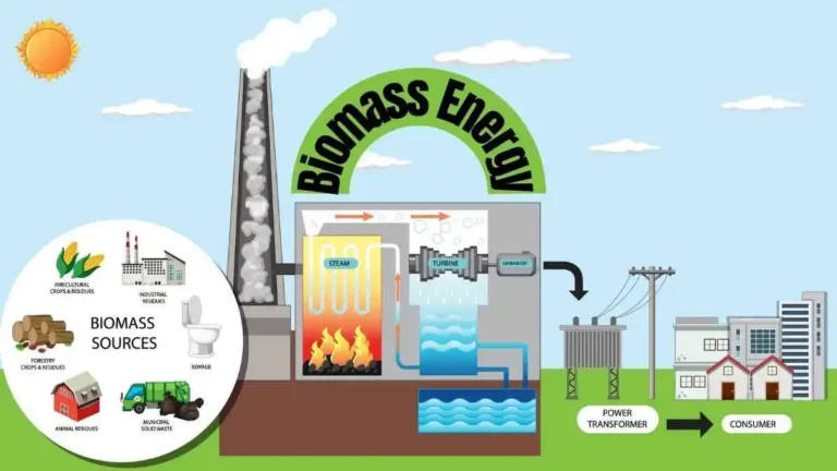 conversion of biomass energy